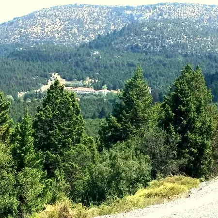 Dafni Tatil Evi Kastrí